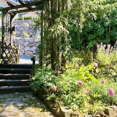 Waldseele Appartement Battenberg  المظهر الخارجي الصورة