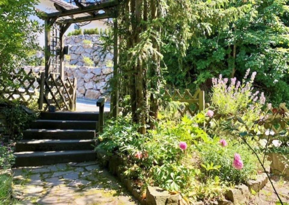 Waldseele Appartement Battenberg  المظهر الخارجي الصورة