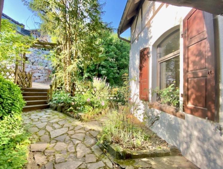 Waldseele Appartement Battenberg  المظهر الخارجي الصورة